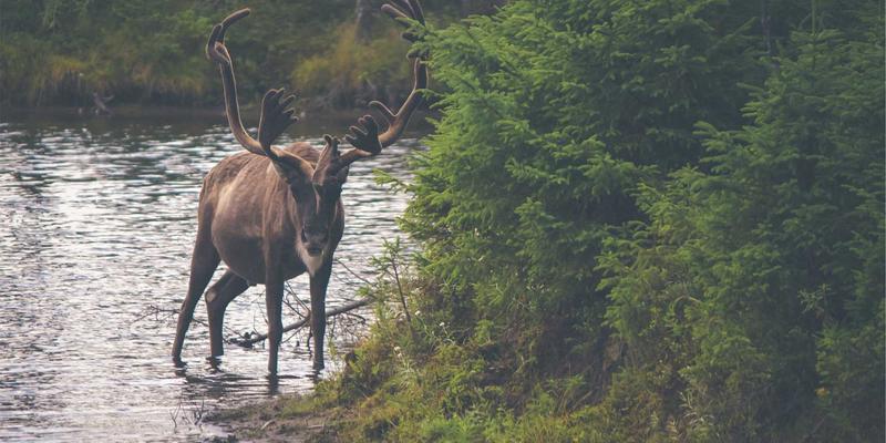 从竹下通到里原宿：解码日本原宿复古时尚的百年演变与潮流密码
