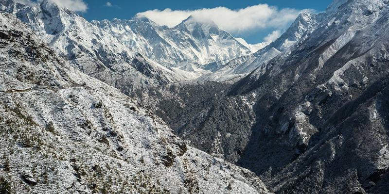 时光回溯，绿意新生：2023年秋冬复古时尚趋势深度解析