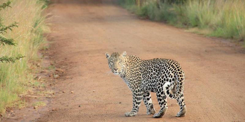 穿越时光的优雅:用复古时尚构建可持续的胶囊衣橱